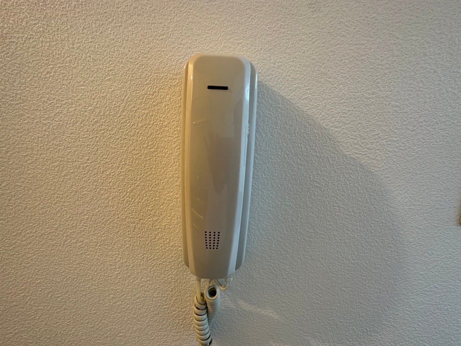 マザーグースのその他写真