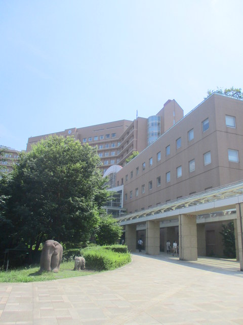 病院　国立成育医療研究センター病院（病院）まで1075m