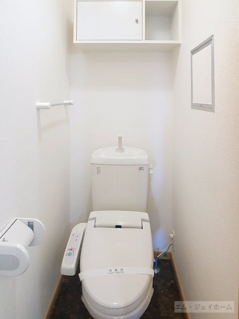 近江鉄道本線 愛知川駅 徒歩12分 2階建 築19年のトイレ写真
