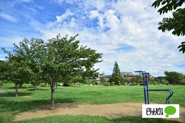 公園　坪井近隣公園（公園）まで1013m