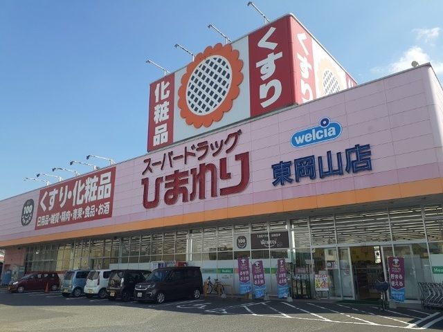 【岡山市中区下のアパートのドラックストア】