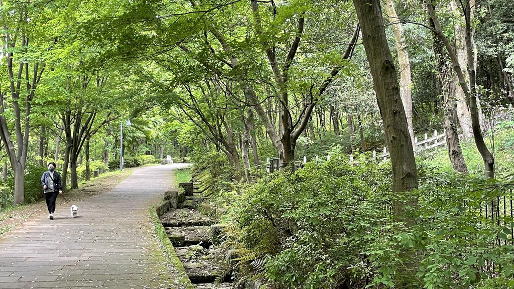 【横浜市都筑区茅ケ崎中央のその他の公園】