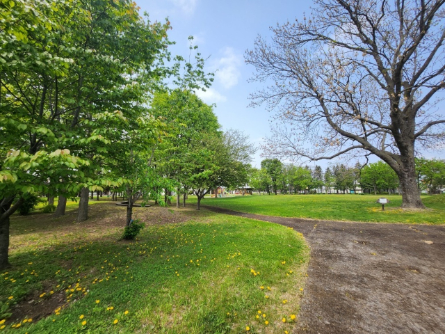 【エル―シア・Ｙの公園】