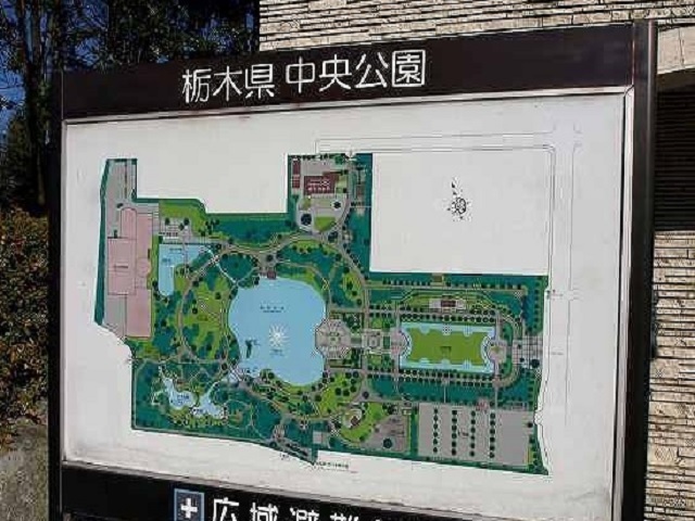 公園　中央公園（公園）まで500m