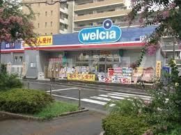 ドラックストア　ウエルシア板橋志村店（ドラッグストア）まで593m