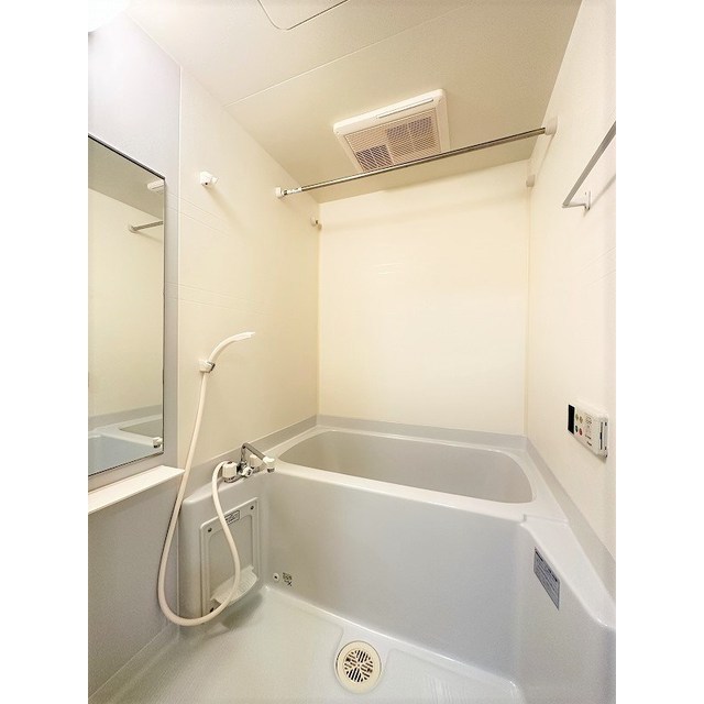 バス・シャワールーム　写真は１０２号室です