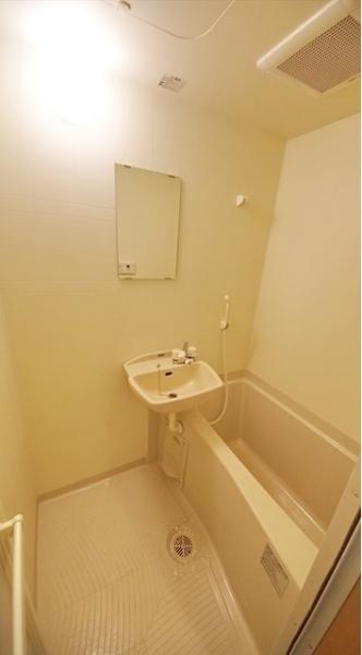 バス・シャワールーム　バス・洗面になります