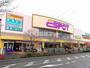 スーパー　業務スーパーエスポット伊勢原店（スーパー）まで250m