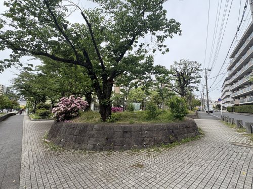 公園　鯉ヶ渕公園（公園）まで1884m
