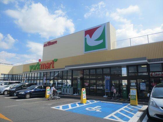 ショッピングセンター　ヨークマート花野井店（ショッピングセンター）まで411m