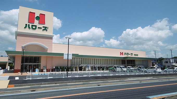 スーパー　ハローズ向島店（スーパー）まで1100m