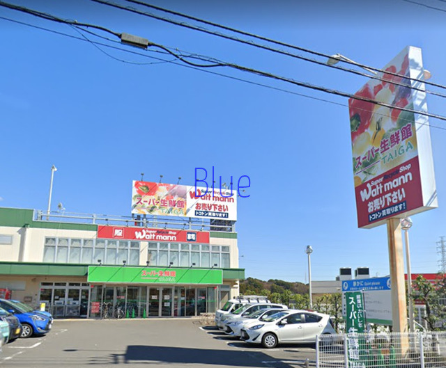 スーパー　スーパー生鮮館TAIGA（スーパー）まで580m