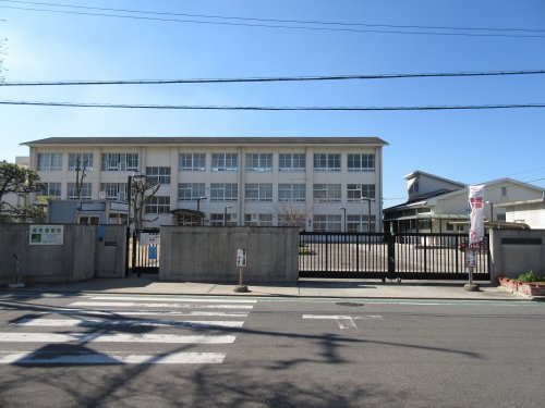 小学校　堺市立白鷺小学校（小学校）まで478m