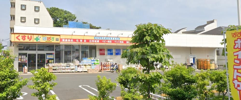 ドラックストア　どらっぐぱぱす練馬田柄店（ドラッグストア）まで230m