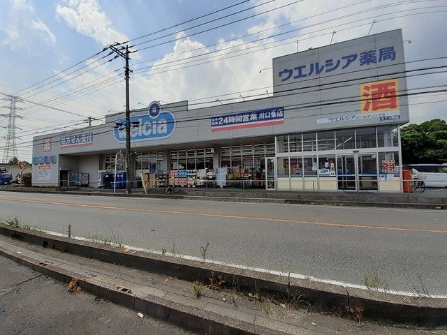 ドラックストア　ウエルシア川口峯店（ドラッグストア）まで551m