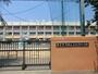 小学校　葛飾区立住吉小学校（小学校）まで175m