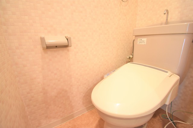 Totsu Residence Hakata East(旧:アリビオ博のトイレ写真