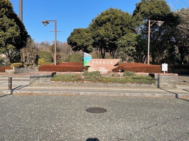 公園　相模原北公園（公園）まで300m