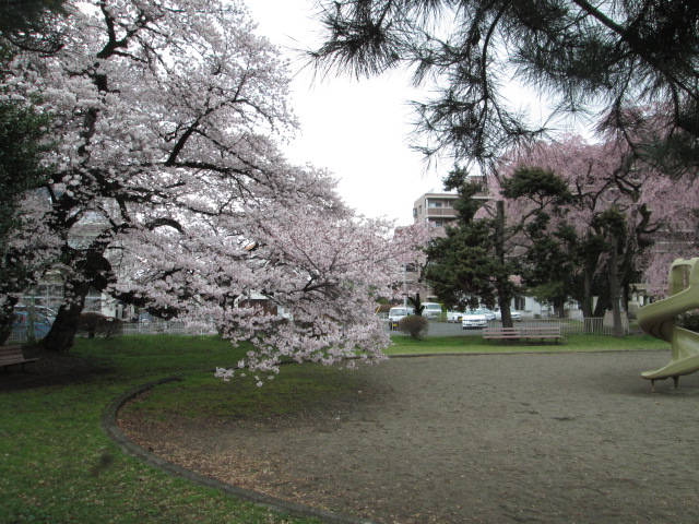 【テラスマンションの公園】