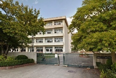 小学校　岡崎市立小豆坂小学校（小学校）まで341m