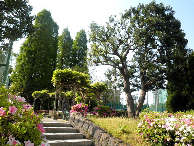 公園　目黒区民センター公園（公園）まで399m