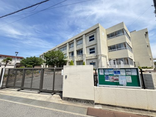 小学校　岸和田市立朝陽小学校（小学校）まで88m