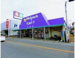ドラックストア　ウェルパーク 福生加美平店（ドラッグストア）まで704m