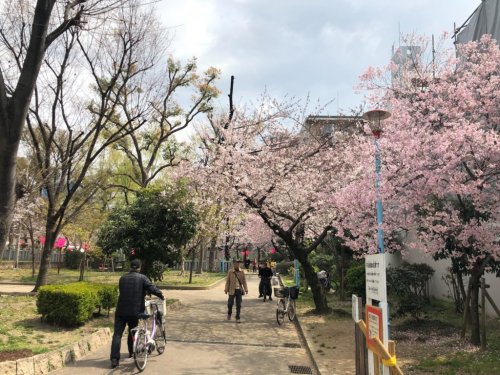 【プレサンス堺筋本町ディスティニーの公園】