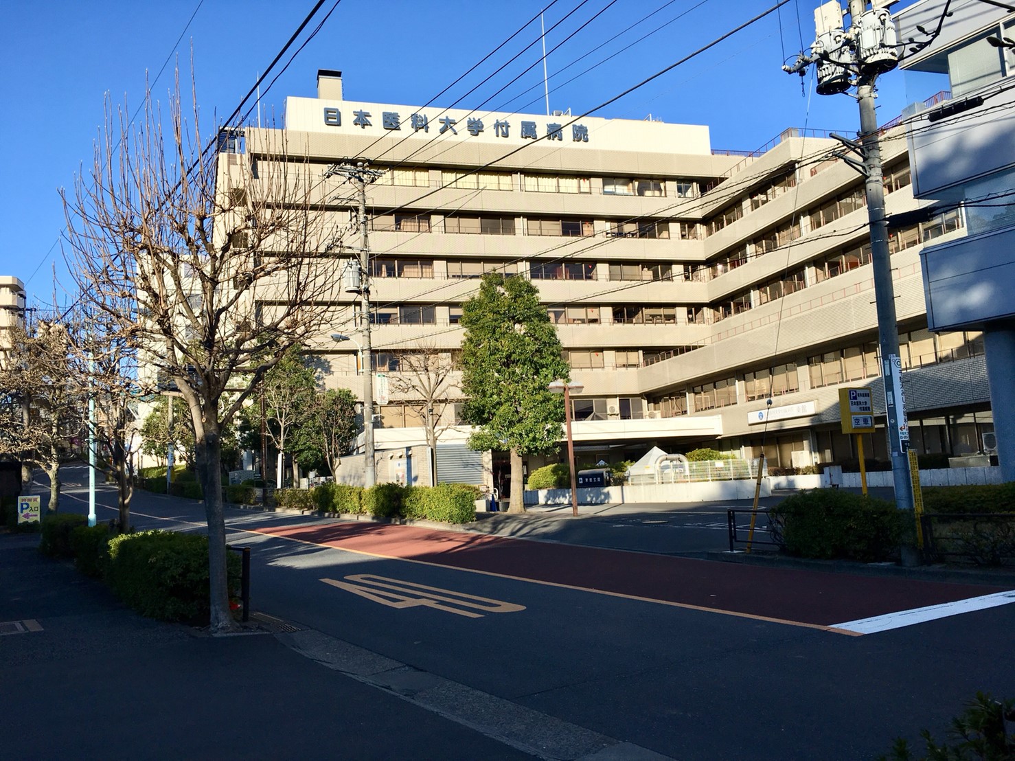 【パルセ藍染の病院】