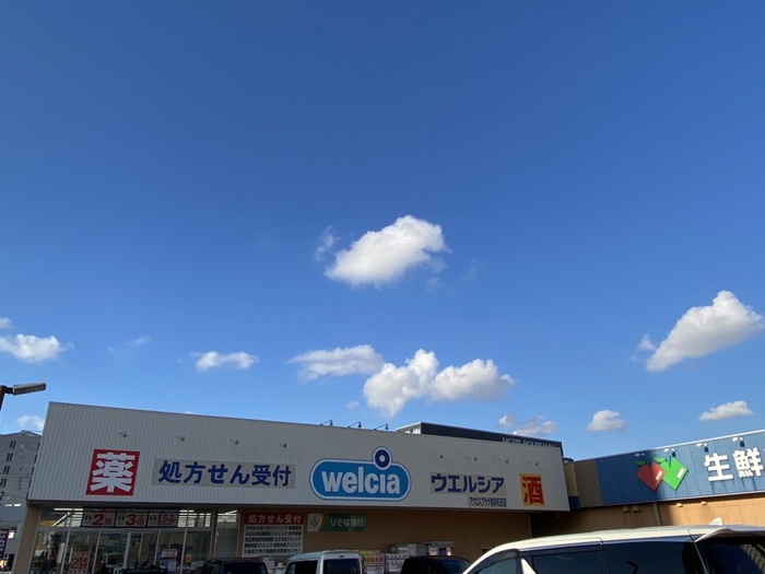 ドラックストア　ウェルシア（ドラッグストア）まで900m