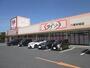 その他　ザ・ダイソー DAISO 八幡本城店（その他）まで1592m