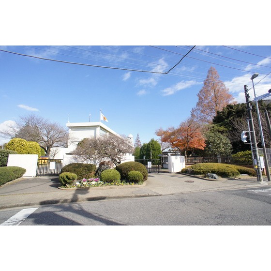 中学校　国立茨城大学教育学部附属中学校（中学校）まで874m