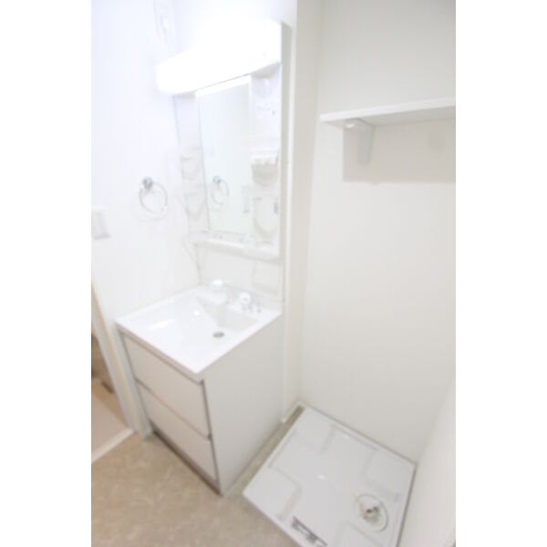 洗面設備　同シリーズタイプの室内写真となります