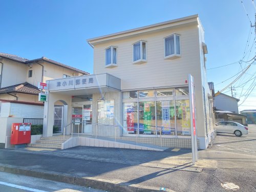 郵便局　津小川郵便局（郵便局）まで805m