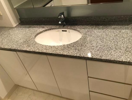 洗面設備　他部屋参考写真です。