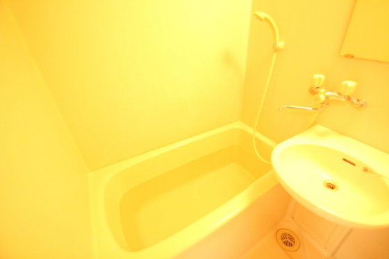 バス・シャワールーム　※別号室のお写真です。