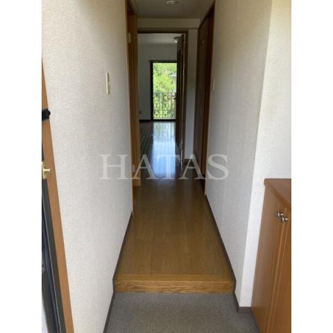 玄関　同物件別部屋です。