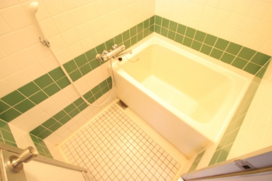 バス・シャワールーム　※別部屋の写真です