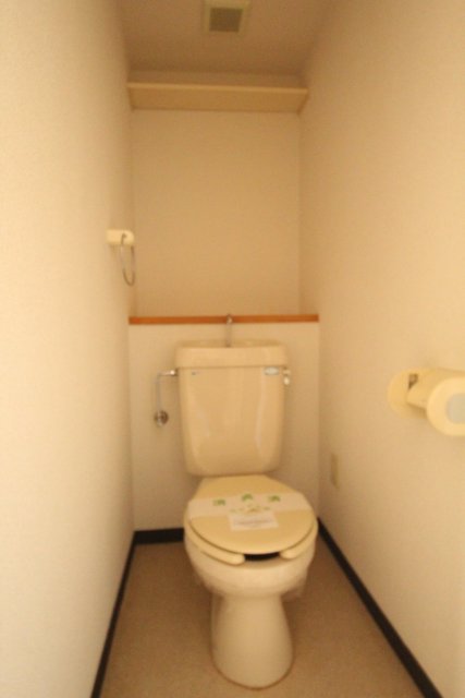 トイレ　※同建物・別号室の写真です