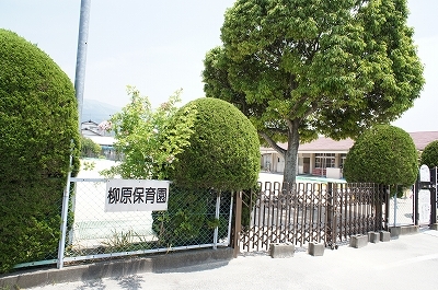 幼稚園・保育園　柳原保育園（幼稚園・保育園）まで100m