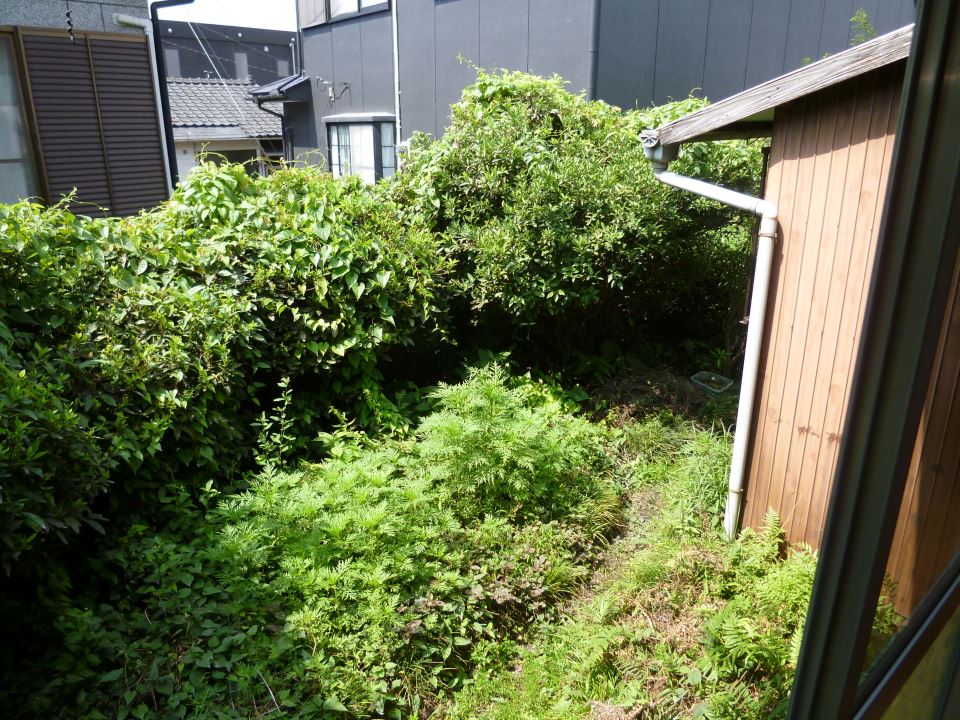 庭　菜園ですきますよ