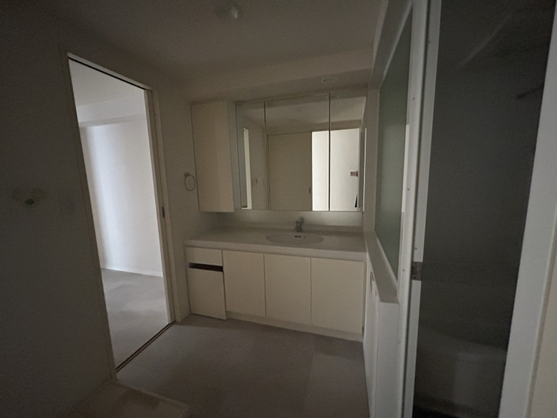 洗面設備　スペースが確保できる洗面所です