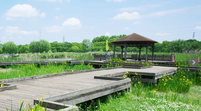 公園　舎人公園（公園）まで612m