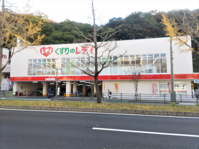 ドラックストア　くすりのレデイ平和通り店（ドラッグストア）まで450m