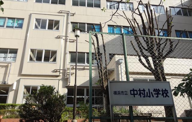 小学校　横浜市立中村小学校（小学校）まで493m