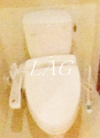 トイレ　トイレです。