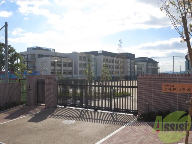 小学校　神戸市立上筒井小学校（小学校）まで393m
