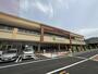 ドラックストア　サンドラッグ フォレストモール八尾店（ドラッグストア）まで592m