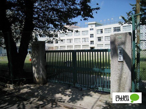 小学校　文京区立千駄木小学校（小学校）まで326m
