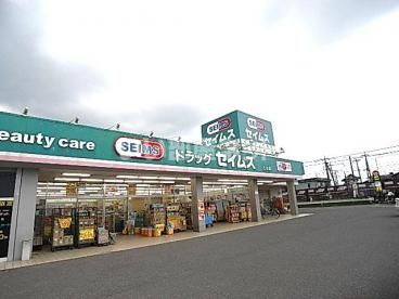 ドラックストア　ドラッグセイムス乙女店（ドラッグストア）まで765m